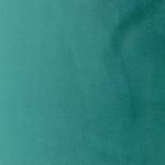 Turquoize 31