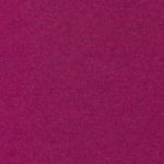 Fuchsia-20