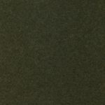 Olive-31
