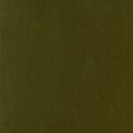Olive 062