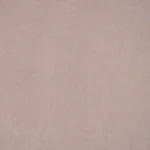 Mushroom 006
