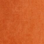 Apricot 36