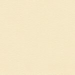 Butternut 924