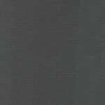 Chinchilla-04