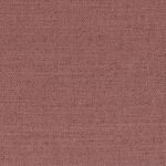 Crocus 701