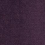 Fuchsia 23