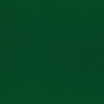 Green Jacket 921
