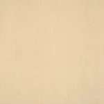 Ivory 008