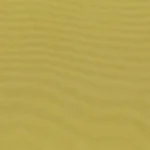 Leek Green 249