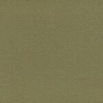 Olive 12
