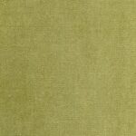 Olive 49