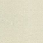 Raffia 02