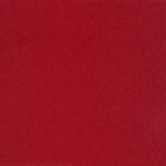 Raspberry-20