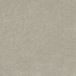 Silver 04