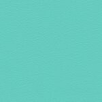 Turquoize 612