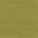 Bamboo 45