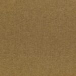 Camel 86
