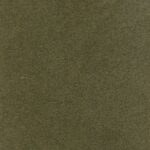 Olive 18