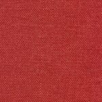Raspberry 545