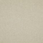 Seagrass 05