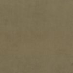 Seagrass-06