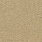 Beige 37