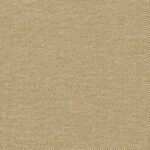 Beige 37