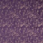 Eggplant-14