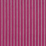 Fuchsia 12