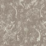 Lichen-19