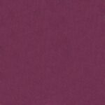 Fuchsia 096