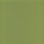 Eucalyptus 19