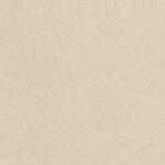 Parchment 63