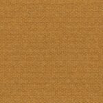 Spruce Yellow 11
