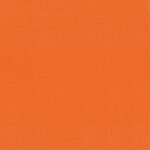 Apricot-10