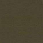 Chestnut-20