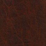 Chocolate Truffle 192
