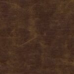 Coffee Bean 565