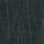 Dark Shadow 667