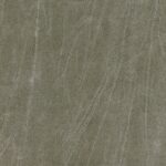 Driftwood 798