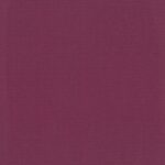 Fuchsia-42