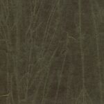 Grape Leaf 385