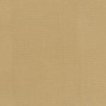 Jute-05