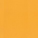 Saffron-09