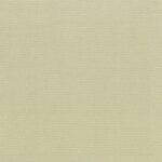 Seagrass-03