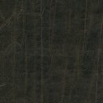 Seal Brown 505