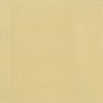 Sesame-04