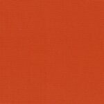 Tangerine-11