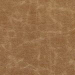 Teak 795
