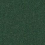 Fir 07